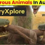 Dangerous Prehistoric Animals Found In Australia