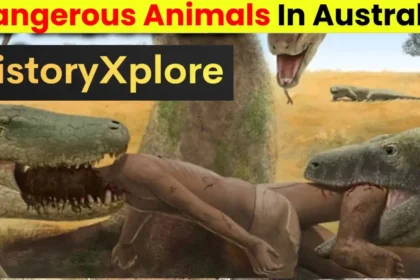 Dangerous Prehistoric Animals Found In Australia